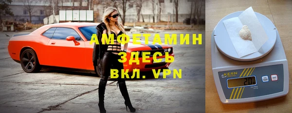 гашик Нефтекумск