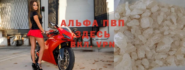 стаф Абинск