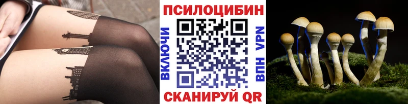 продажа наркотиков  Яранск  Псилоцибиновые грибы MAGIC MUSHROOMS 